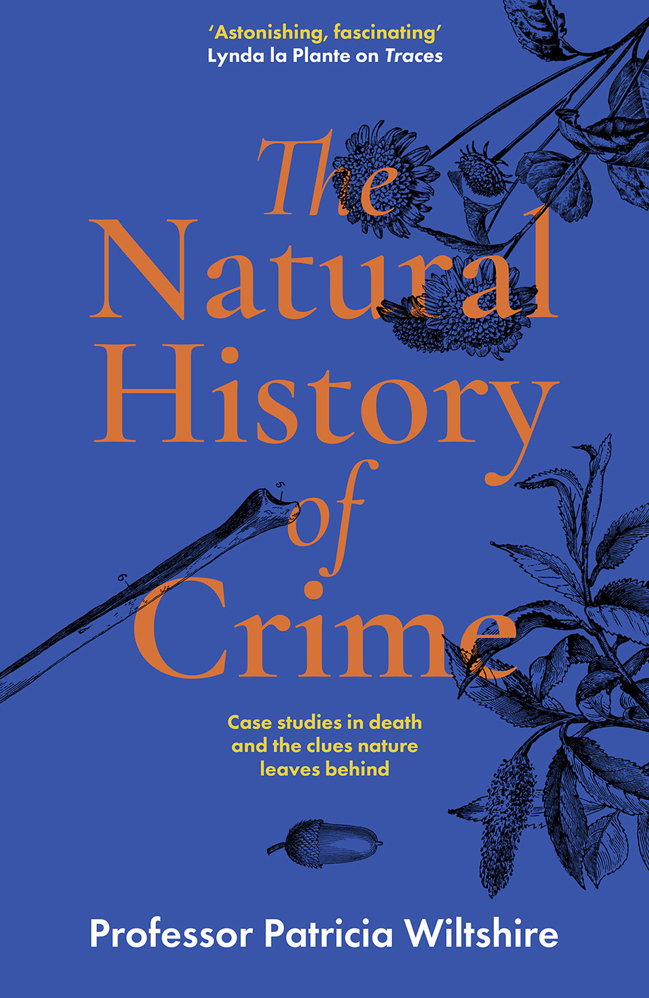 Book cover: The Natural History of Crime idea 2
